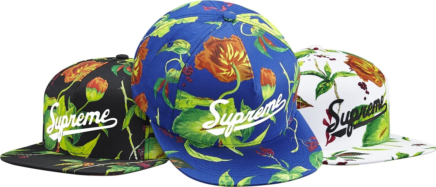 Currant 5-Panel